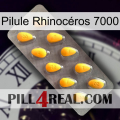 Pilule Rhinocéros 7000 cialis1